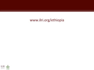 ILRI activities in Ethiopia