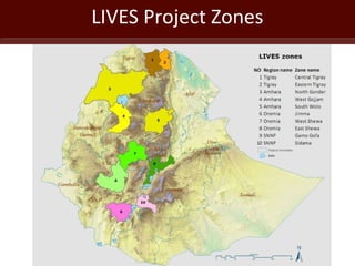 LIVES Project Zones
6
 