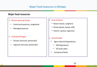 FeedBase: Interactive feed supply—Demand tool