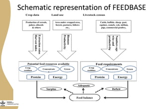 FeedBase: Interactive feed supply—Demand tool