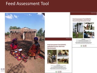 Overview to feeds and feeding systems 