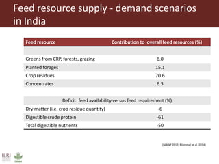 Overview to feeds and feeding systems 