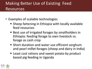 Overview to feeds and feeding systems 