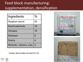 Overview to feeds and feeding systems 