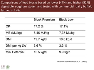 Overview to feeds and feeding systems 