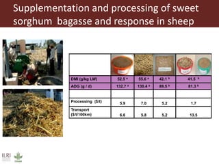 Overview to feeds and feeding systems 