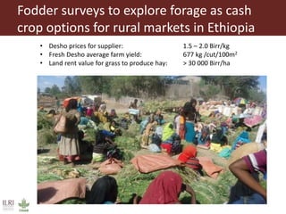 Overview to feeds and feeding systems 