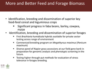 Overview to feeds and feeding systems 