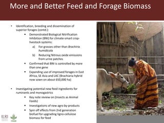 Overview to feeds and feeding systems 