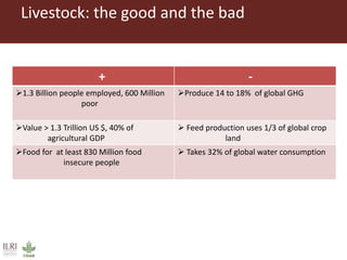 Overview to feeds and feeding systems 