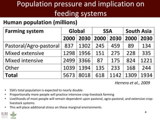 Overview to feeds and feeding systems 