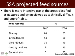 Overview to feeds and feeding systems 