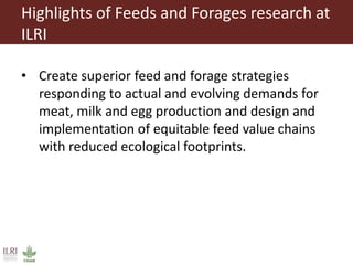 Overview to feeds and feeding systems 