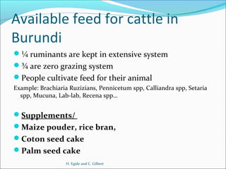 Animal feed in Burundi