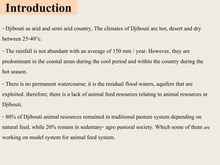 Livestock feed resources in Djibouti