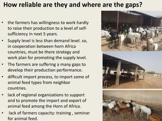 Livestock feed resources in Djibouti