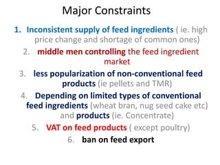 Innovated feed solutions: Ethio-Feed Plc