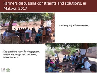 The Feed Assessment Tool - (FEAST)