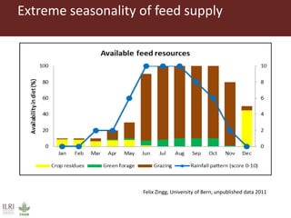 The Feed Assessment Tool - (FEAST)