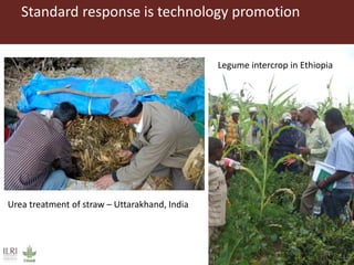 The Feed Assessment Tool - (FEAST)