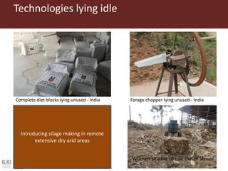 The Feed Assessment Tool - (FEAST)