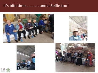 Field trip picture summary