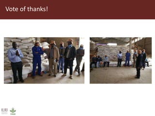 Field trip picture summary