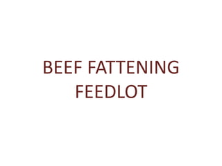 Field trip picture summary