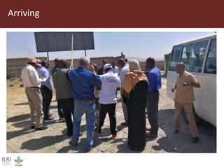 Field trip picture summary