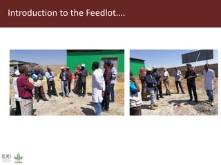 Field trip picture summary