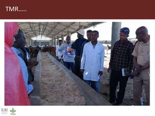 Field trip picture summary