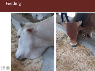 Field trip picture summary