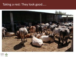 Field trip picture summary