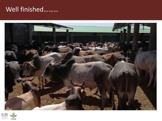 Field trip picture summary