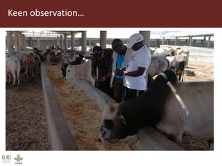 Field trip picture summary