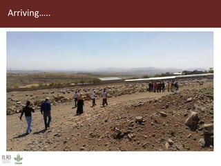 Field trip picture summary