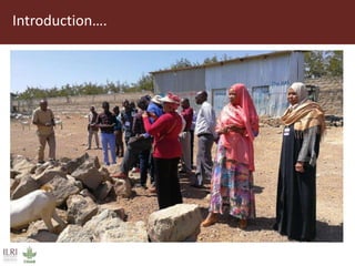 Field trip picture summary