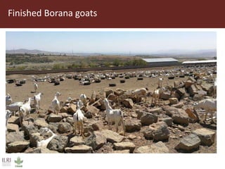 Field trip picture summary