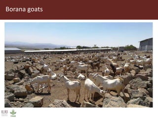 Field trip picture summary