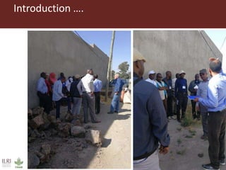 Field trip picture summary