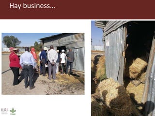 Field trip picture summary