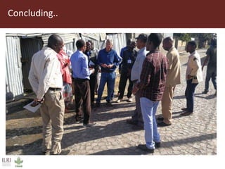 Field trip picture summary