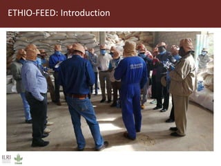 Field trip picture summary