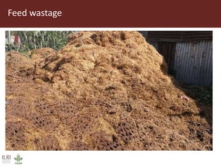 Field trip picture summary