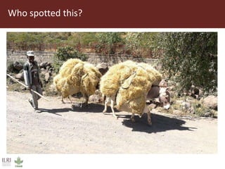 Field trip picture summary