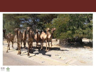 Field trip picture summary