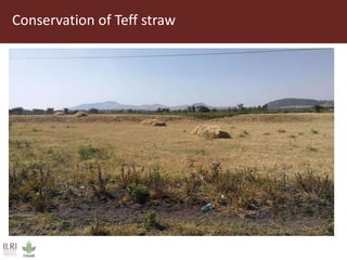 Field trip picture summary