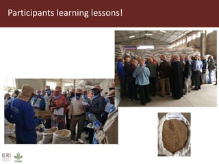 Field trip picture summary