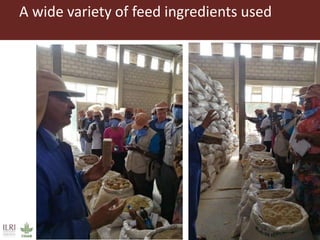 Field trip picture summary