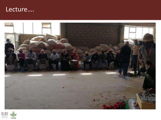 Field trip picture summary